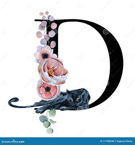 letter d designs